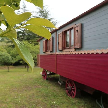 I Tre Abeti B&B Vezzano Ligure Exterior foto